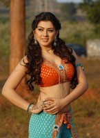 Hansika Latest  Gallery